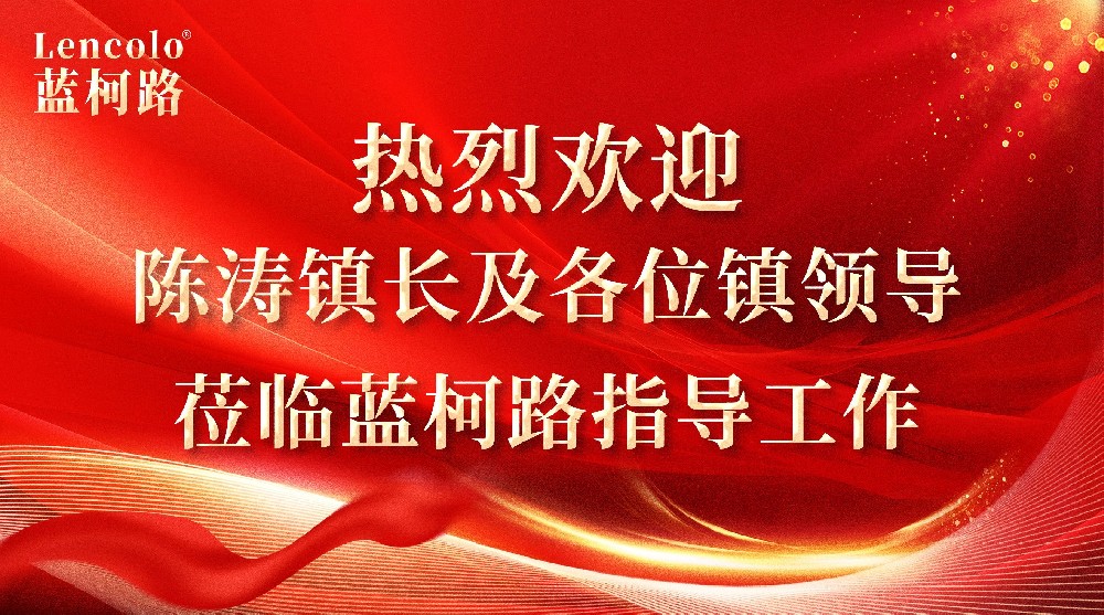 心系企業，情暖藍柯路——陳鎮長及鎮領導團隊親臨指導，共繪發展藍圖